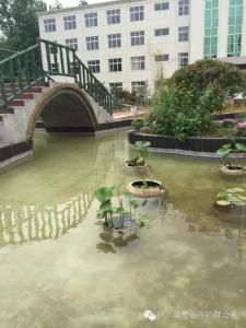 环境展示